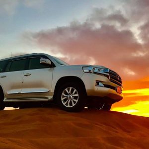 Evening Desert Safari