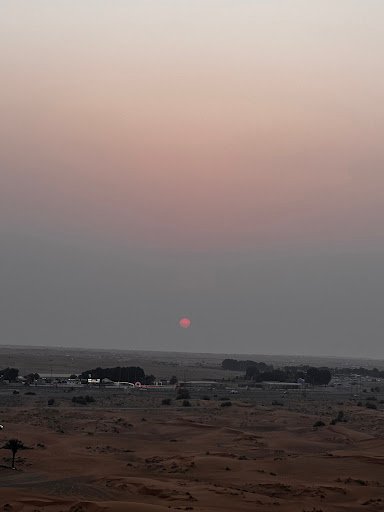 Photo from customer review