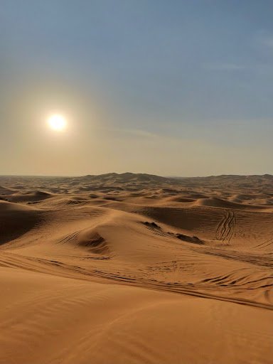 Photo from customer review